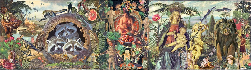 Loading Image