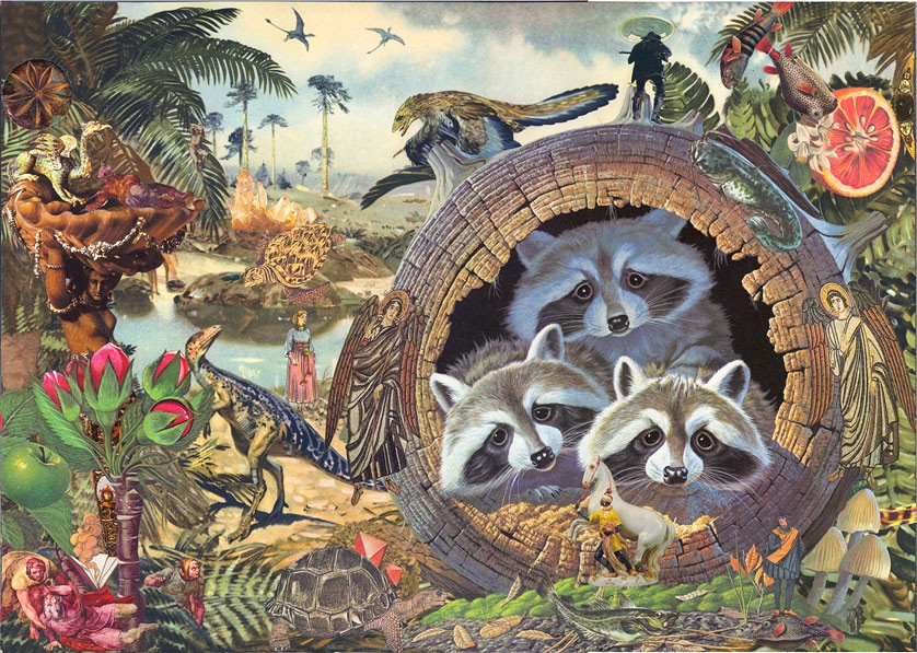 Loading Image