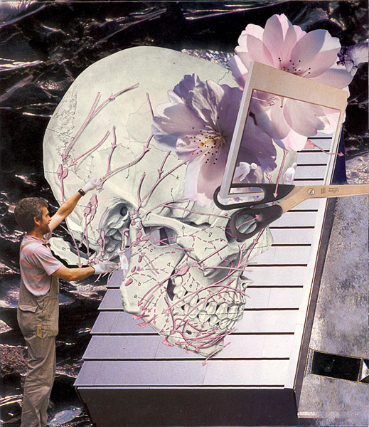 Loading Image
