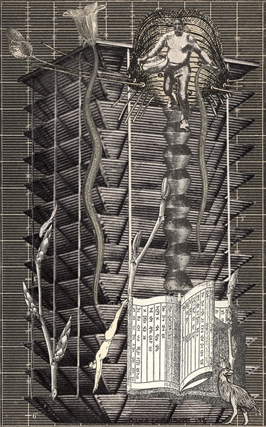 Loading Image